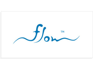flow_logo
